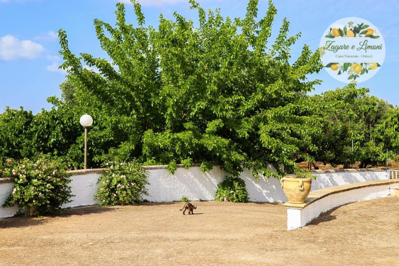 Zagare E Limoni Apartment ออสตูนี ภายนอก รูปภาพ